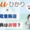 auひかりの家電量販店は待った！ビックカメラやヤマダ電機とも比較。