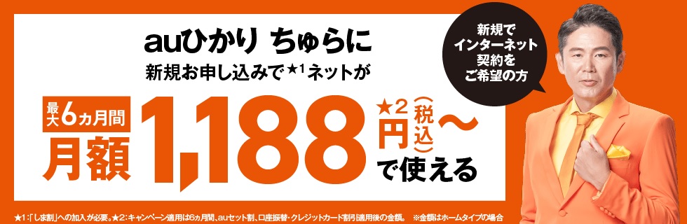 auひかりちゅらのイメージ図
