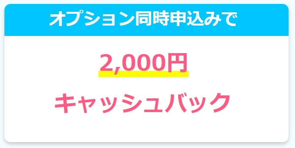【オプション同時申込み】2,000円キャッシュバック